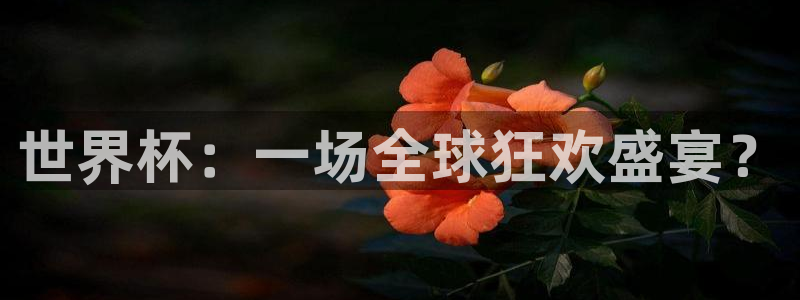 世界杯预选赛赛程:世界杯:一场全球狂欢盛宴?