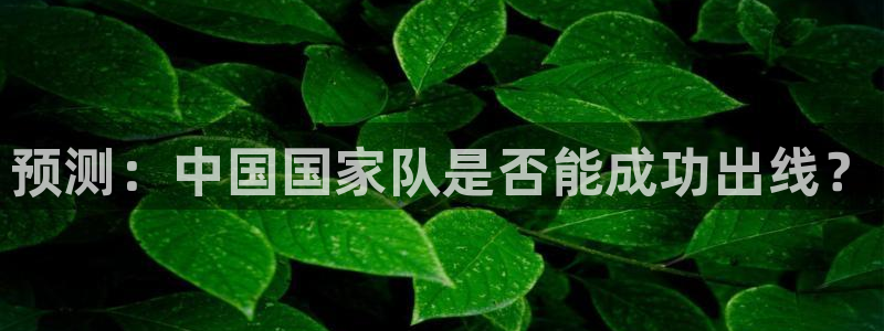 2026年世界杯赛程时间表格:预测:中国国家队是否能成功出线?