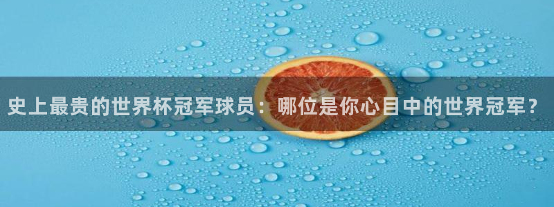 2006年世界杯冠军:史上最贵的世界杯冠军球员:哪位是你心目中的世界冠军?