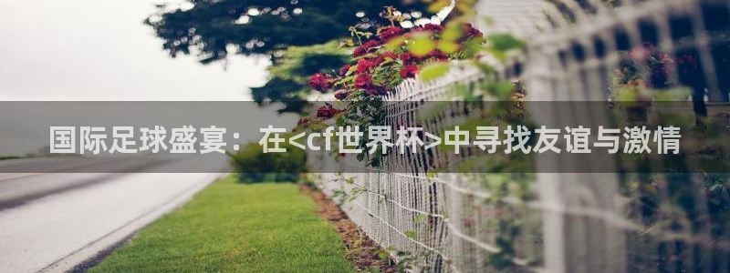 2026世界杯直播免费观看:国际足球盛宴:在<cf世界杯>中寻找友谊与激情