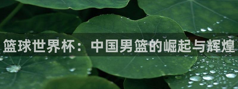 世界杯官网:篮球世界杯:中国男篮的崛起与辉煌