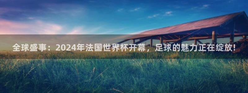 2026世界杯:全球盛事:2024年法国世界杯开幕,足球的魅力正在绽放!
