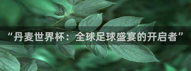 女足世界杯直播:“丹麦世界杯:全球足球盛宴的开启者”